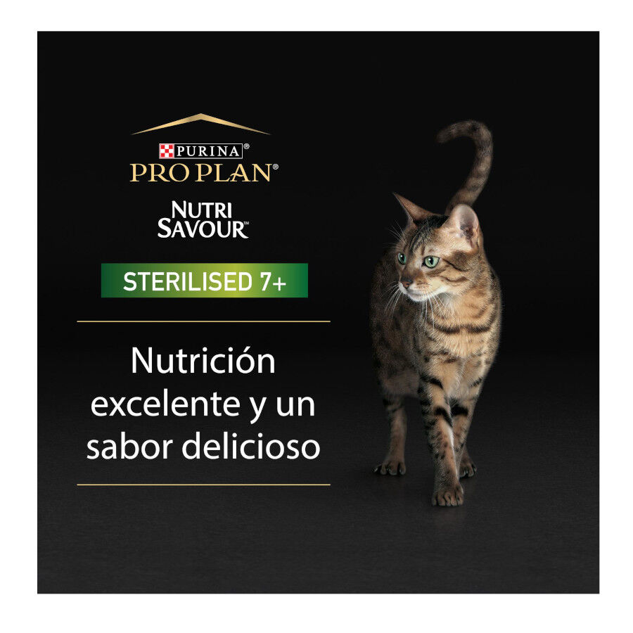 10 tarrinas x 85 g Pro Plan NutriSavour Sterilised 7+ Pavo tarrina para gatos, , large Imagen numero 2